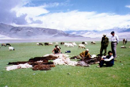 Kyrgyz sheep herders