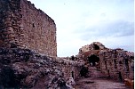 mas009.jpg