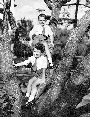 Timeline Photo 4300218f.jpg