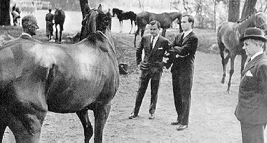 Timeline Photo 6000528s.jpg