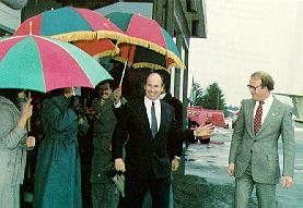 Timeline Photo 8304324v.jpg