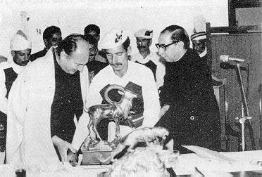 Timeline Photo 8305767j.jpg