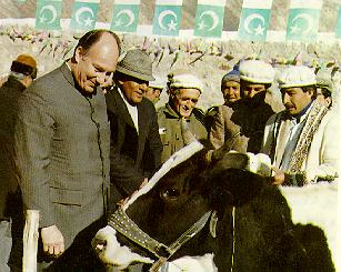 Timeline Photo 8711734i.jpg