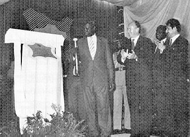 Timeline Photo 8800839o.jpg