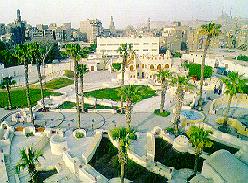 Timeline Photo 9209225a.jpg