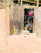 Timeline Photo 9209226a.jpg