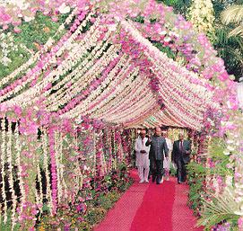 Timeline Photo 9211244j.jpg