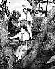 4300218f.jpg