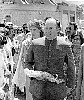 8305684i.jpg