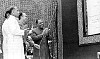 8511205l.jpg