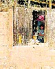 9209226a.jpg