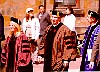 brown1.jpg