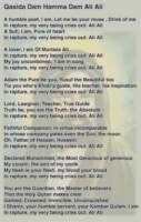 Photo Number 11