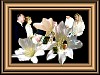 flowers01.jpg