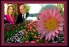 flowers02.jpg