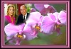 flowers03.jpg