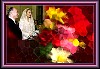 flowers05.jpg