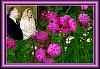 flowers06.jpg