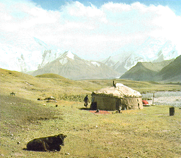 pamir.gif 145.90 K