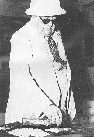 Image JPG