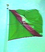houston40.jpg