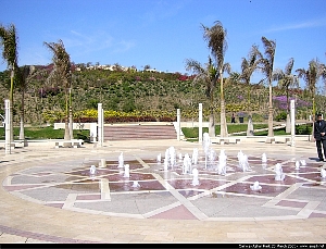 a_p1000113.jpg
