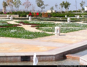 a_pict0082.jpg
