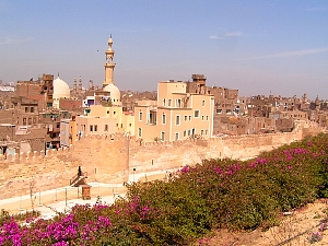 pict0003.jpg