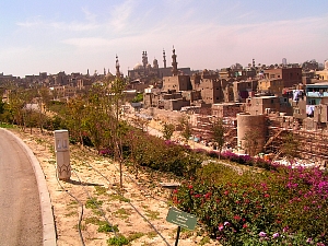 pict0005.jpg