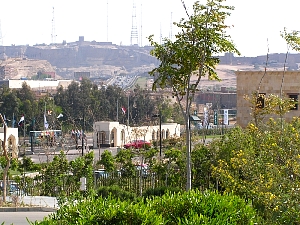 pict0081.jpg