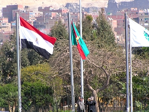 pict0095.jpg